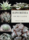 Haworthias for the Collector