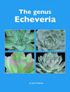 The Genus Echeveria