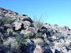 anza borrego state park