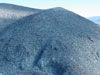 anza borrego cacti