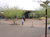 desert botanical garden