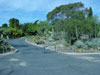 quail botanical gardens